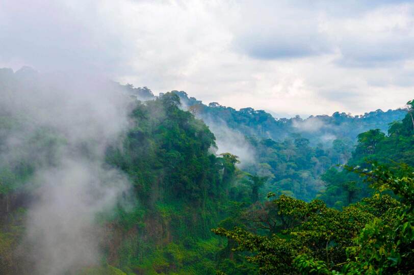 Viaje Camerún