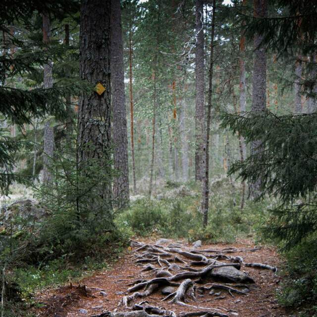 Viajes Finlandia