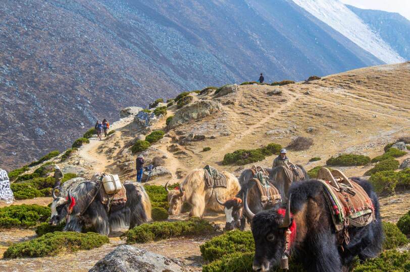 Viaje Nepal