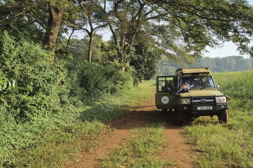 Blackpepper Viajes Uganda 0037 Ruta Primates