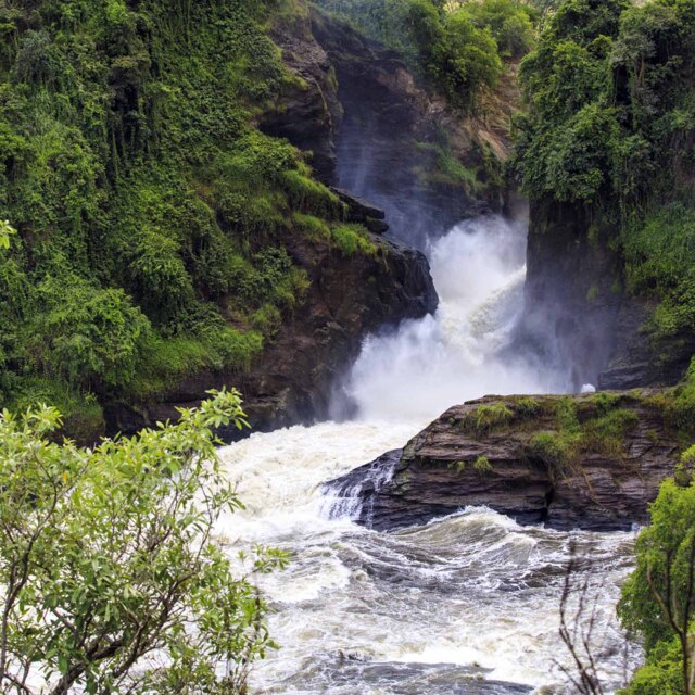 Seguirem les fonts del Nil fins a les Murchison Falls.