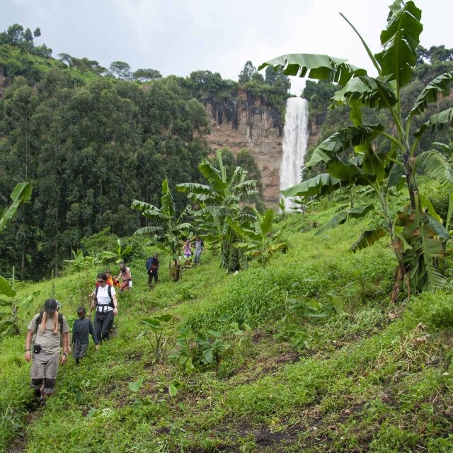 Descubriremos paisajes impresionantes entre plantaciones de café y banano en Sipi Falls en la falda del Monte Elgon.