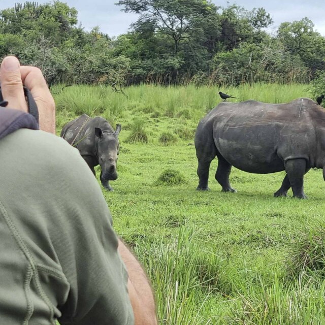 Observaremos los movimientos de los sigilosos rinocerontes.