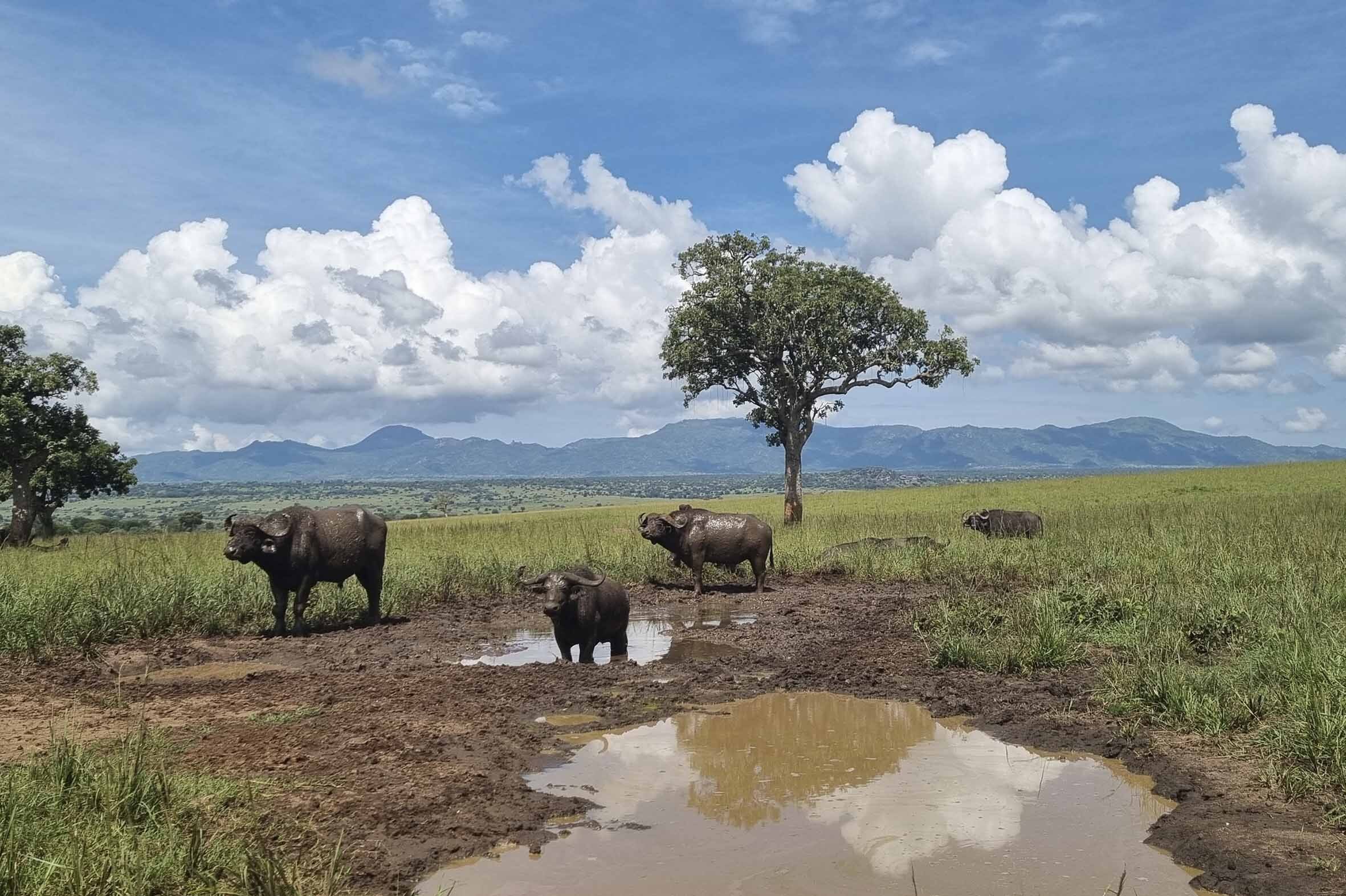 Blackpepper Viajes Uganda 0239 20220816 104944