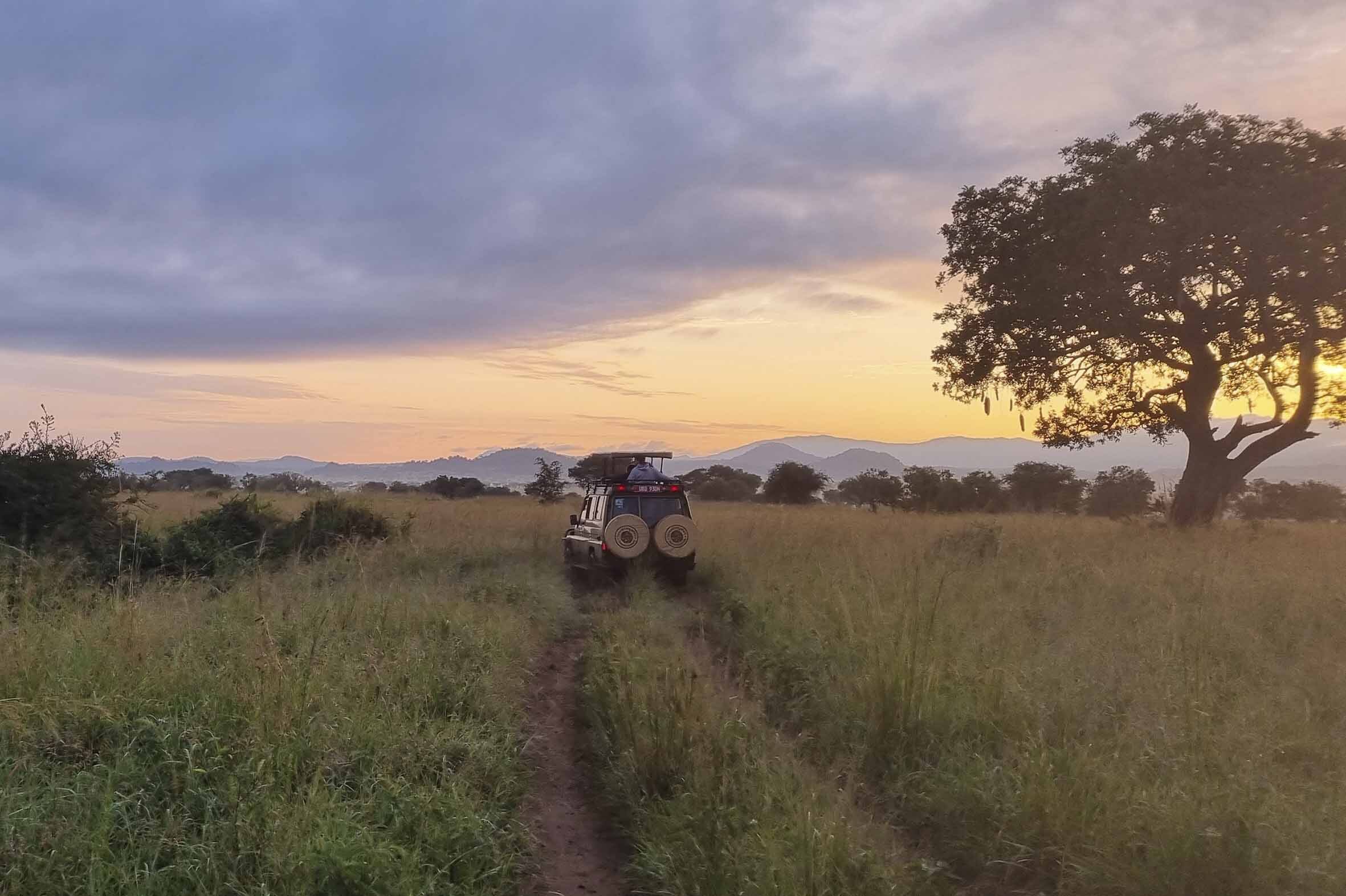 Blackpepper Viajes Uganda 0300 20210810 065056