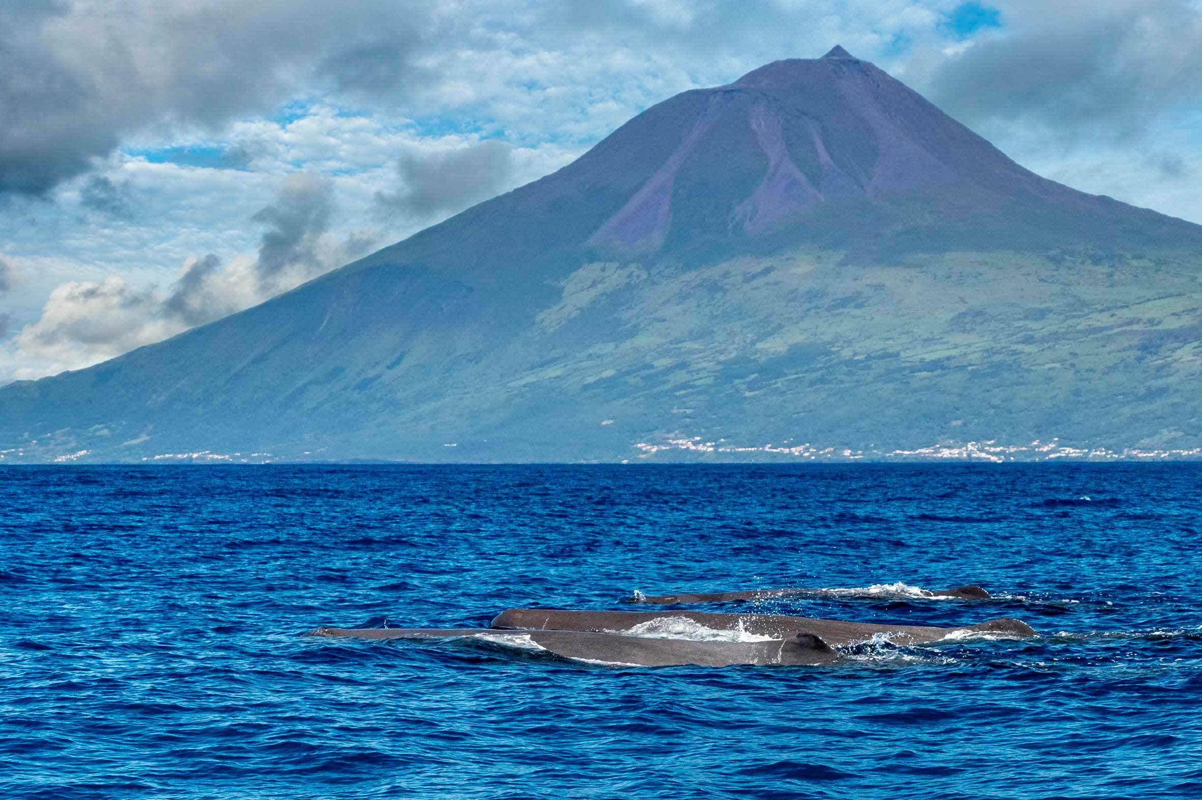 Viajes Azores