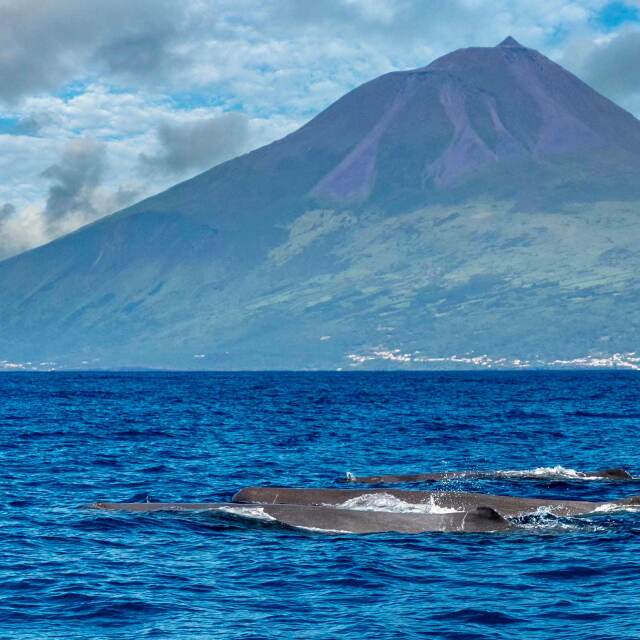 Viajes Azores