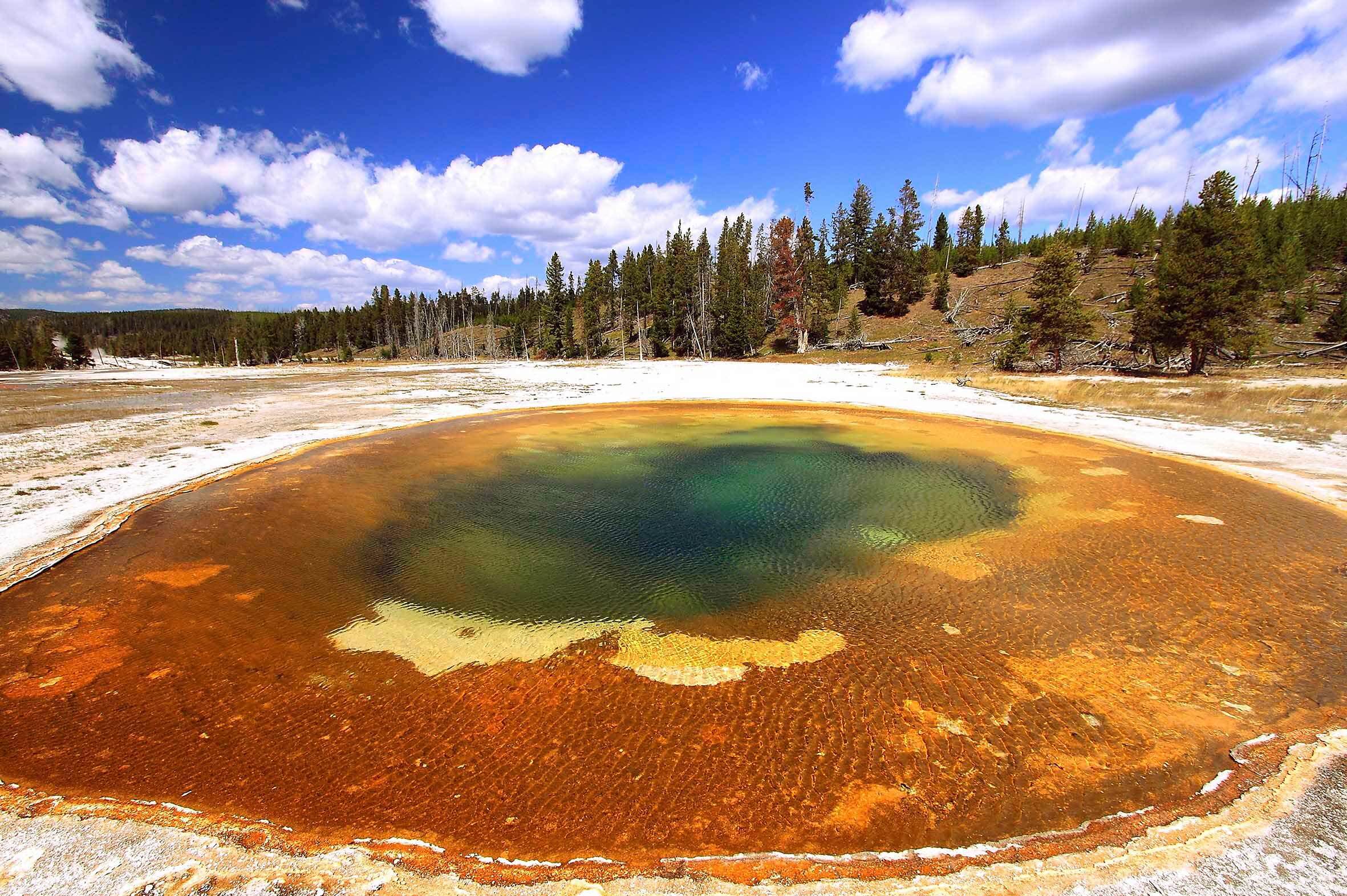 Yellowstone N.P. és un tresor natural, amb la seva varietat de guèisers, aigües termals i paisatges pristins.