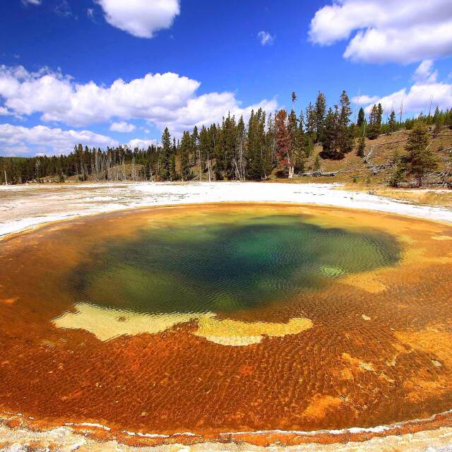 Visitar el primer Parc Nacional del món; Yellowstone.