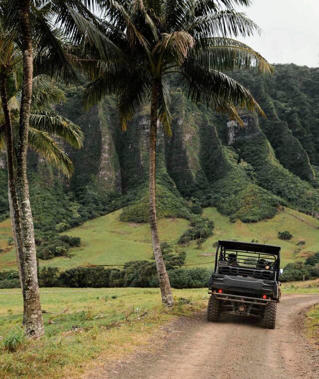 Viaje Hawaii