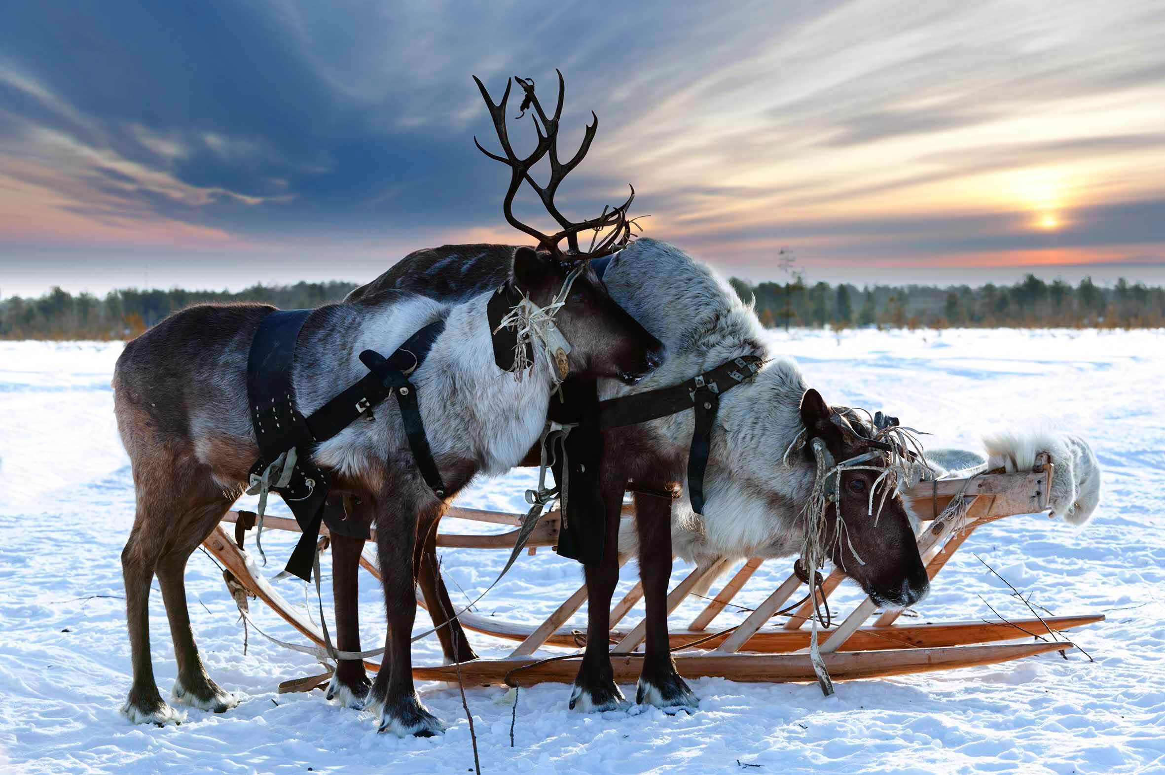 Viajes Finlandia
