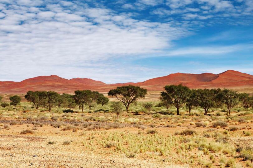 Viaje Namibia