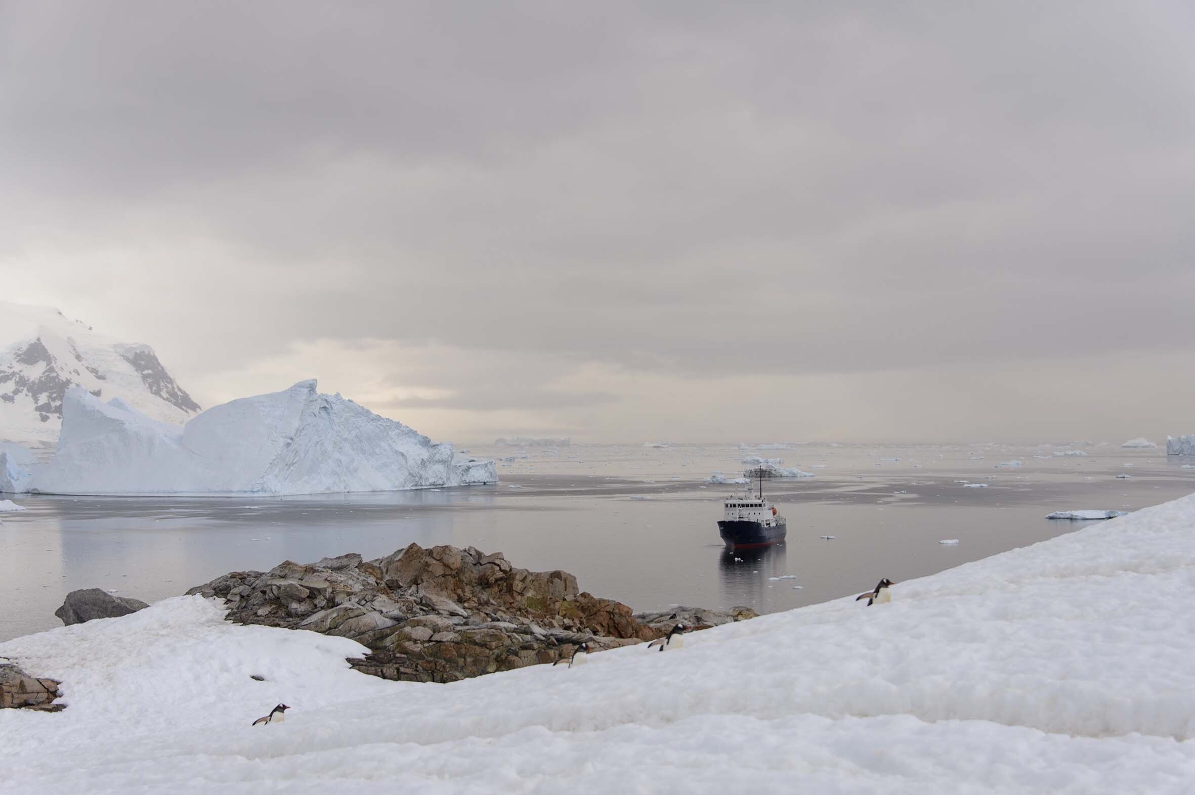 Navegar por el Ártico en un barco de expedición.