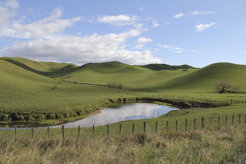 Viaje Nueva Zelanda