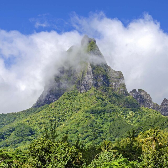 Admirar les impressionants vistes de Tahití des del mirador Belvedere Lookout.