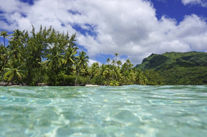 Blackpepper Viajes Polinesia 0013 Tropicalshoregreenvegetationfrenchpolynesia