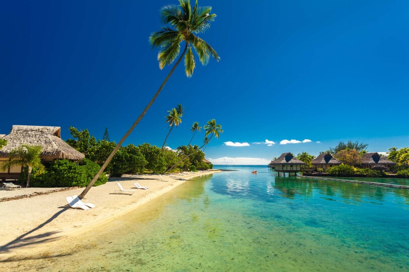 Blackpepper Viajes Polinesia 0015 Resort Tropical Laguna Increible Moorea Tahiti Polinesia Francesa