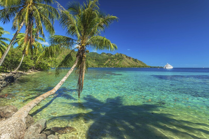 Blackpepper Viajes Polinesia 0021 Palmeras Tranquila Bahia Moorea Tahiti Polinesia Francesa