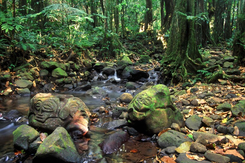 Blackpepper Viajes Polinesia 0025 Frenchpolynesiarainforestrockcarvings