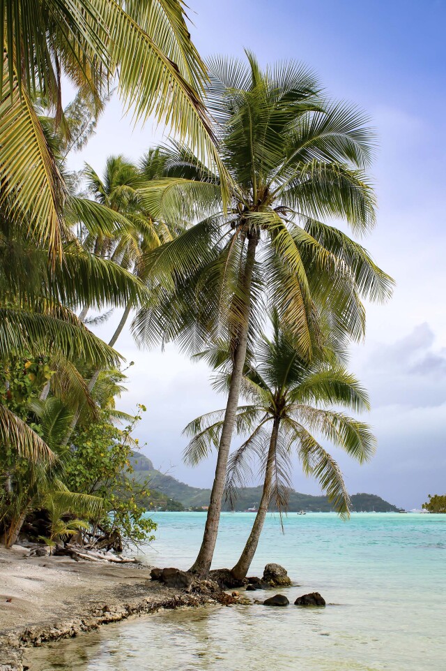 Illes de la Polinèsia:  Tahití, Bora Bora i Moorea