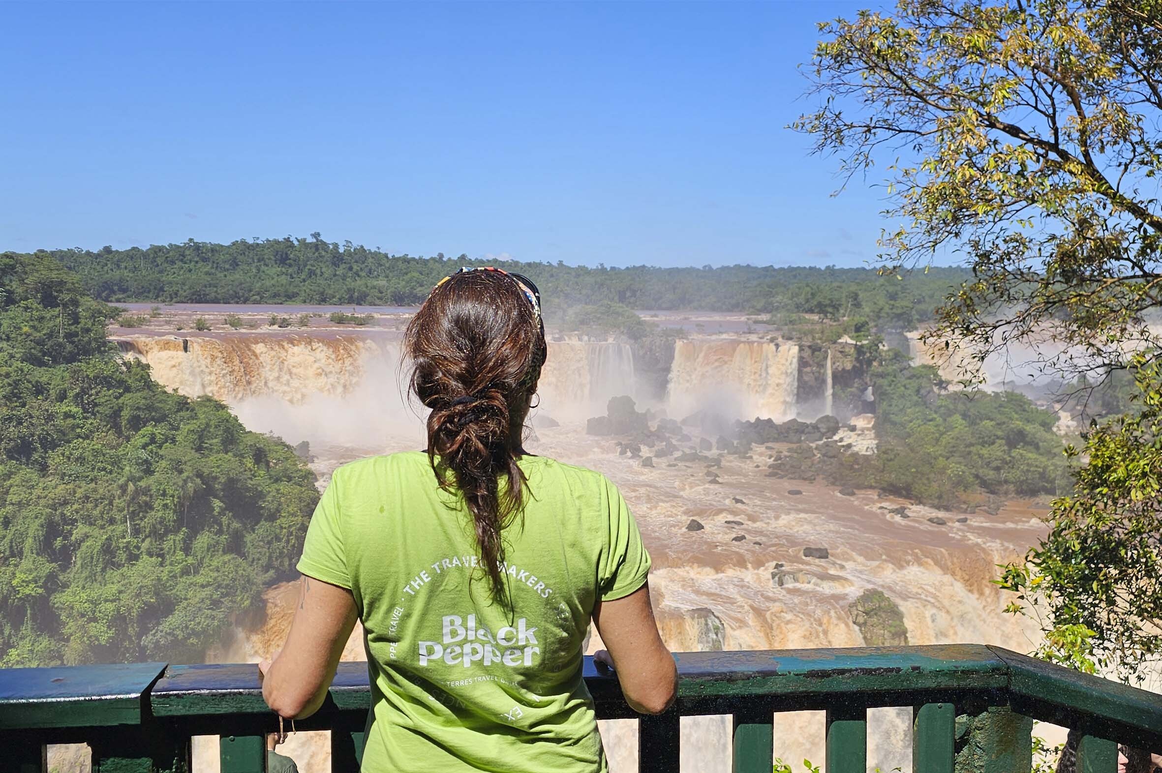 Patagonia e Iguazú Salida Especial 8 ENERO 2025