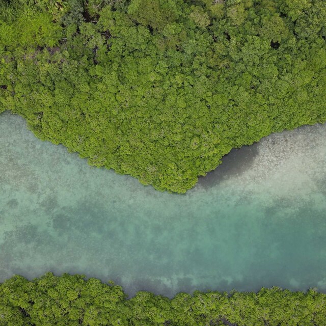 Descubre los alrededores de Panamá: Venas Azules.