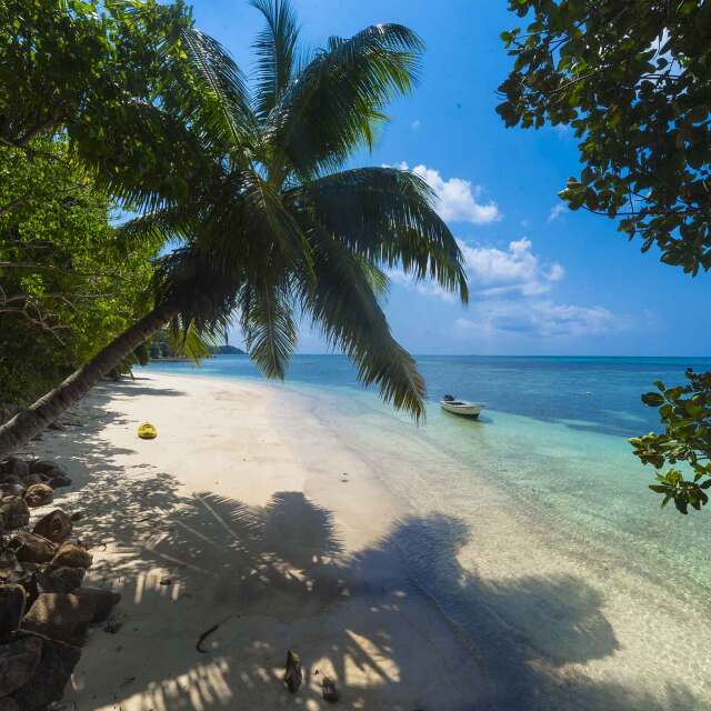 Meravellar-se amb l'arxipèlag de Bocas del Toro.