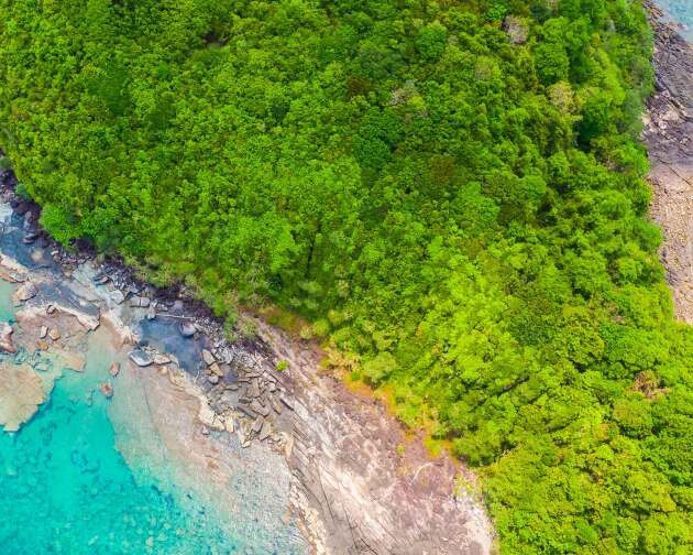 Esencia Panameña con Bocas del Toro