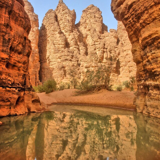 Refrescarse en el oasis de Iherir.