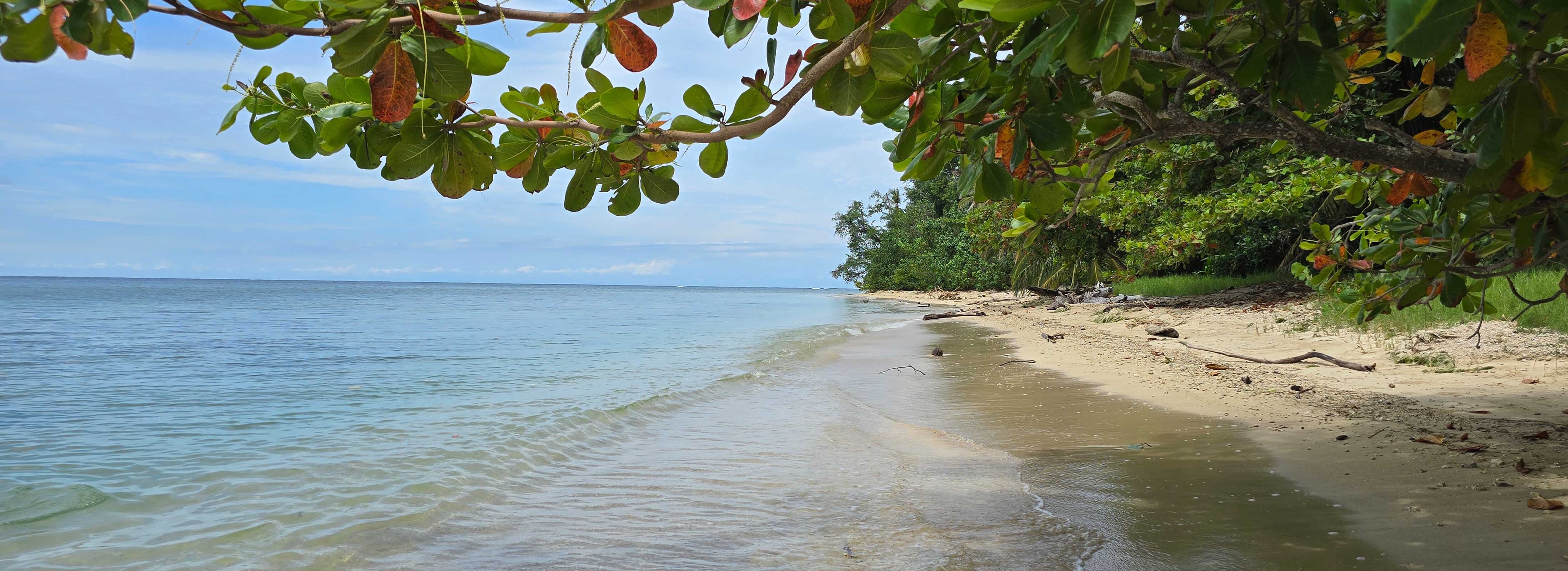 Costa Rica, la Biodiversidad más Impresionante del Planeta