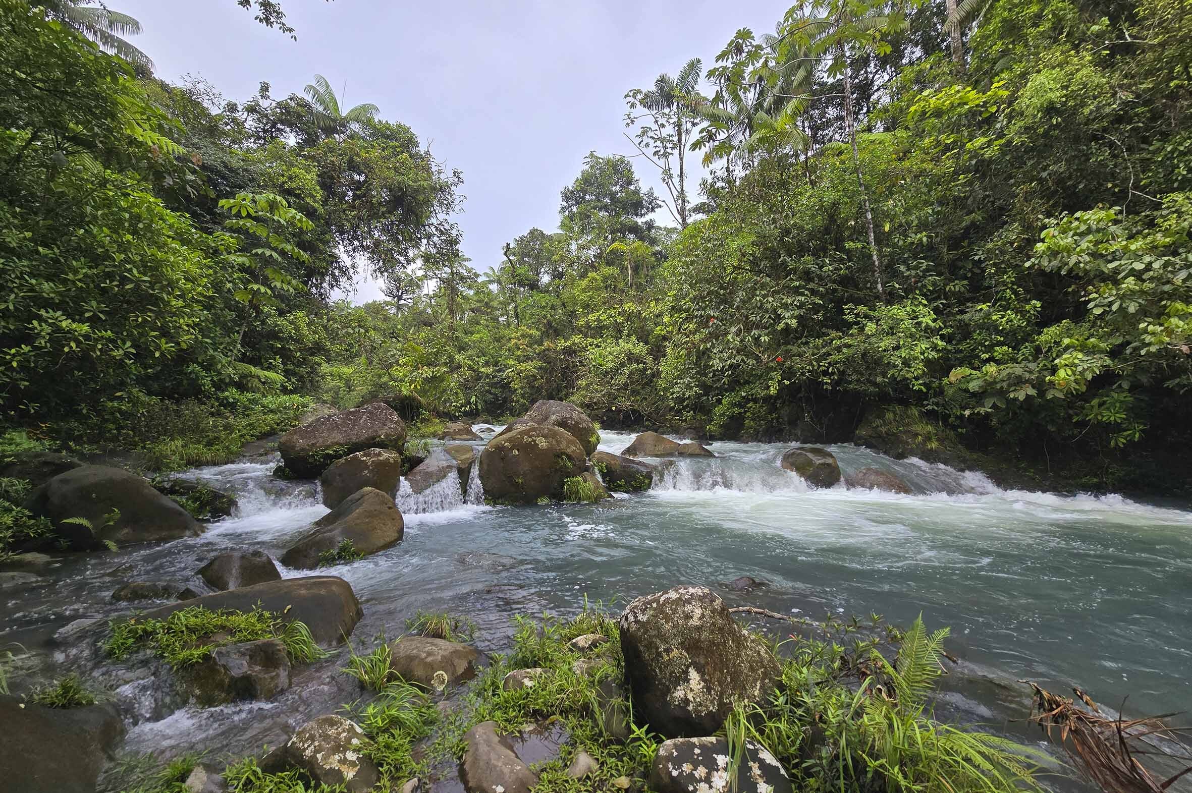 Viajes Costa Rica Blackpepper Ruta 0013 Naturaleza En Estado Puro