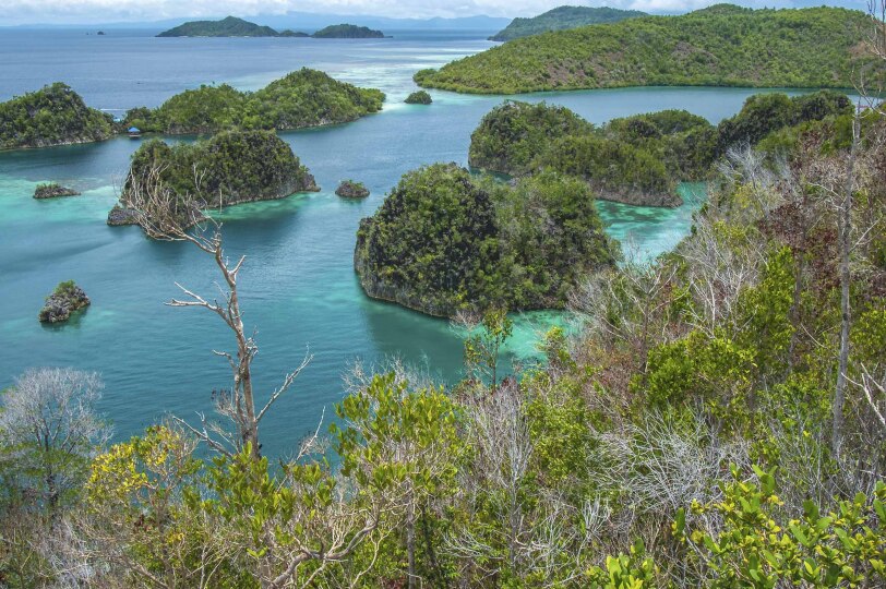 Viajes Indonesia Blackpepper 0009 Blue Lagoon Raja Ampat