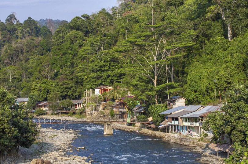 Viajes Indonesia Blackpepper 0020 Bukit Lawang Village Sumatra Indonesia