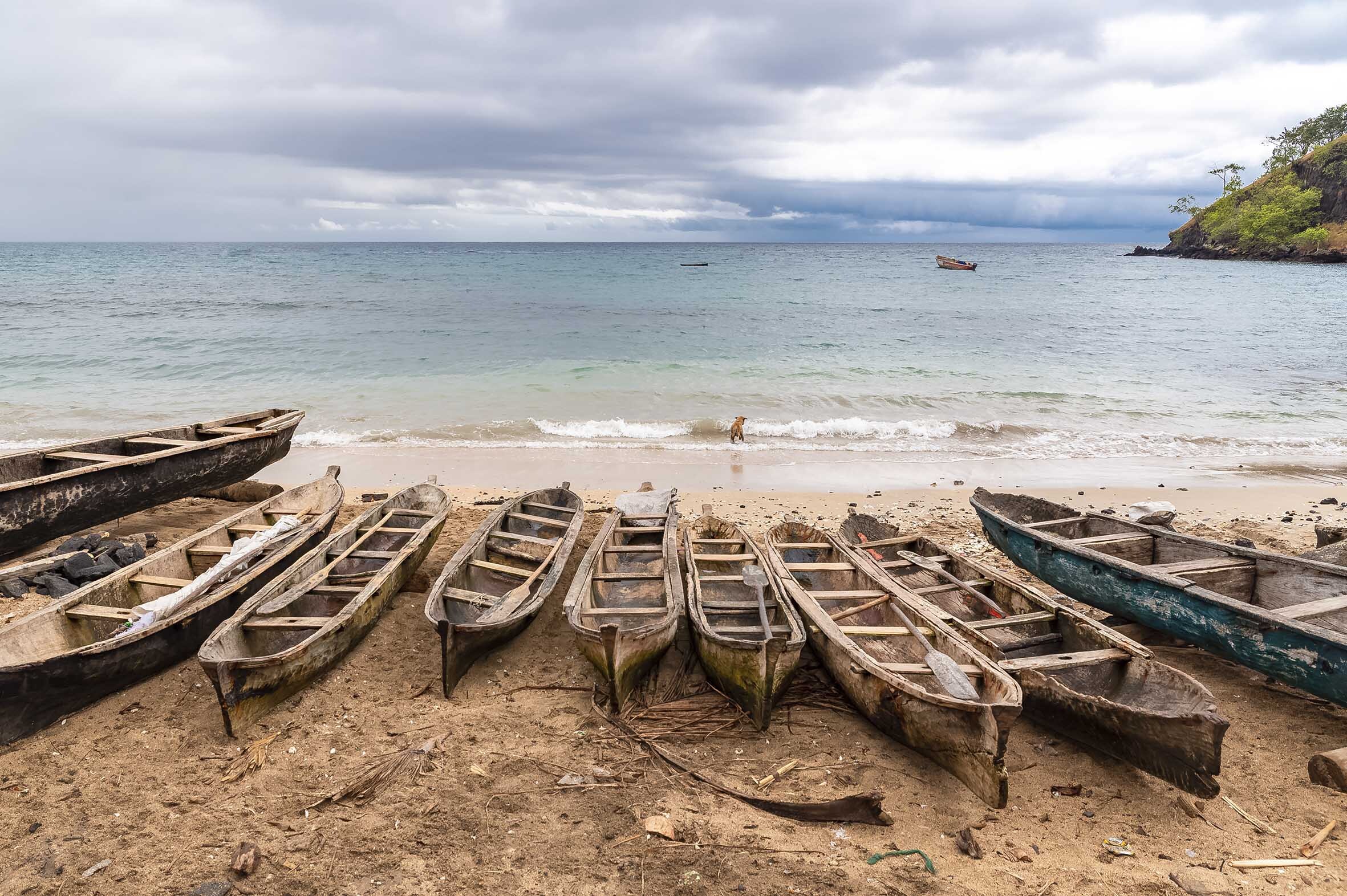 Rincones de mar y selva