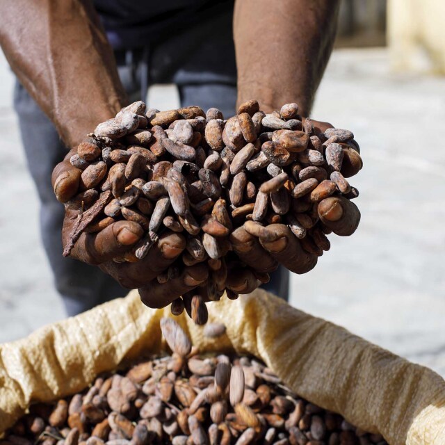 Monte Café: La cuna del cacao y el café de São Tomé.