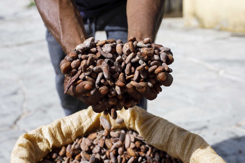 Viajes Sao Tome Blackpepper 0013 Cocoa Beans Hands