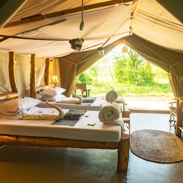 Safari Confort Serengeti Norte