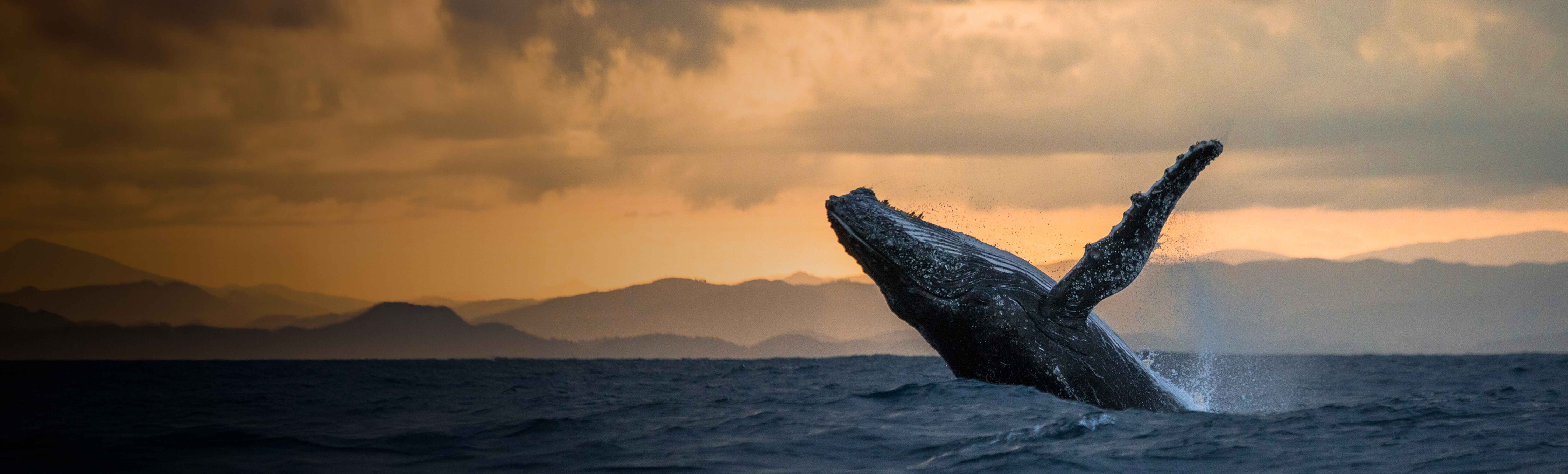 Bahía Solano: selva, ballenas y cultura afrocolombiana