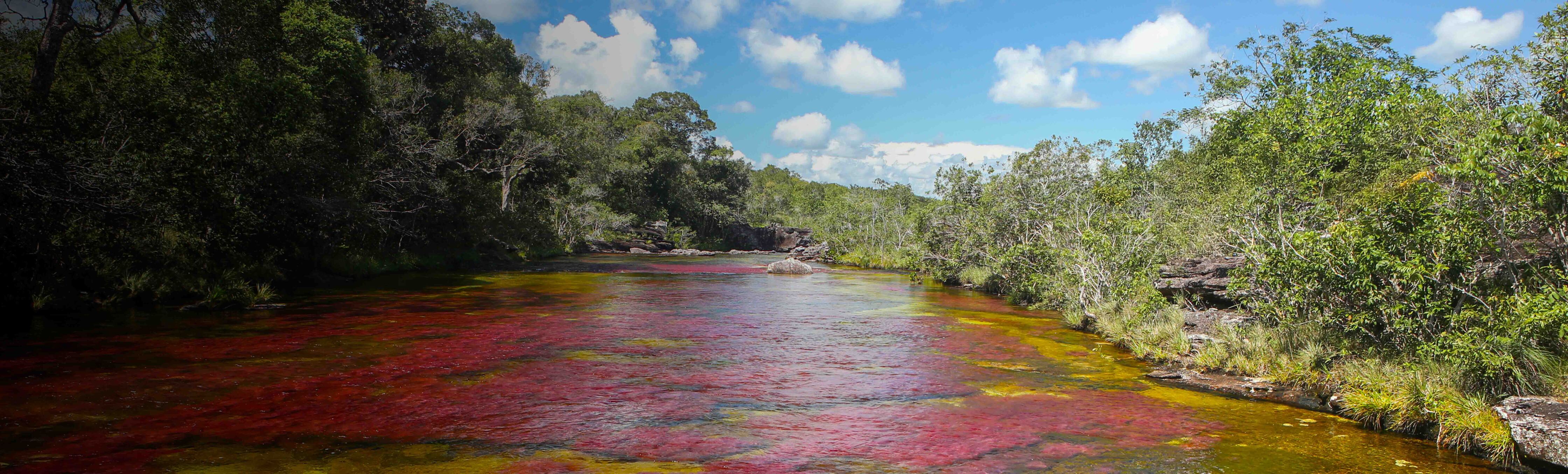 Caño Cristales, el río que parece un arcoíris