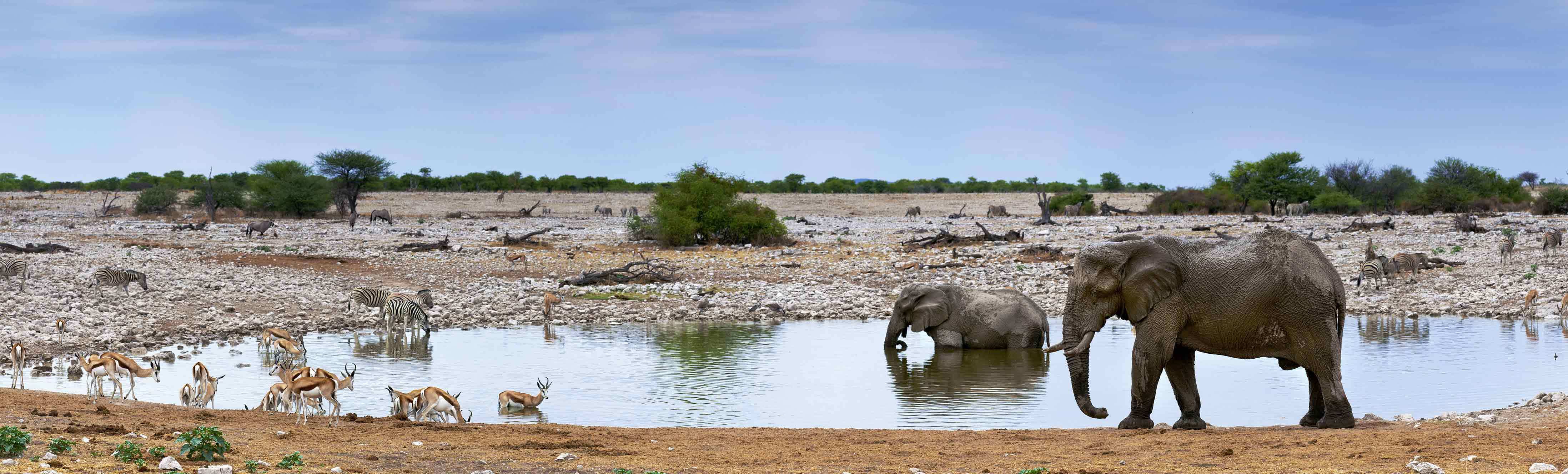 Namibia Skies. Safari premium