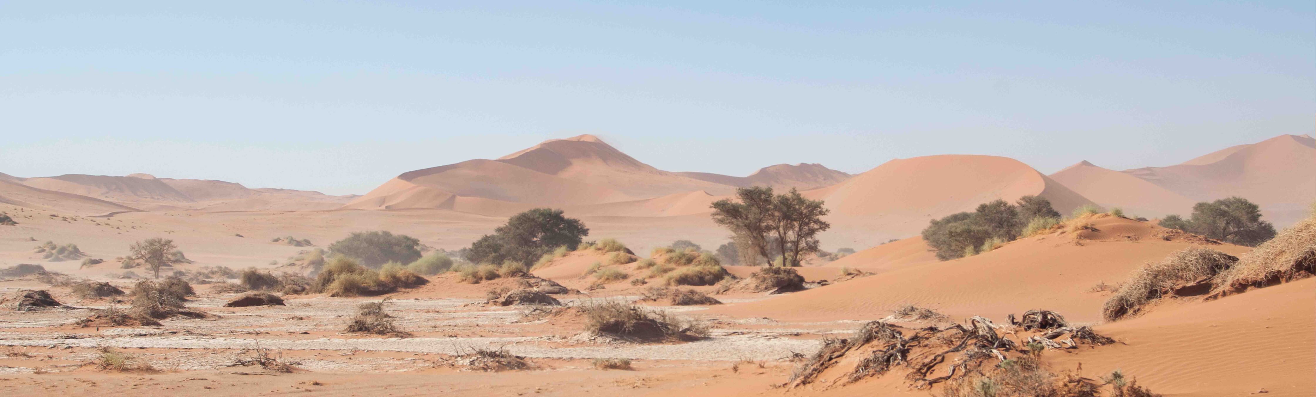 Les empremptes dels San. Safari confort