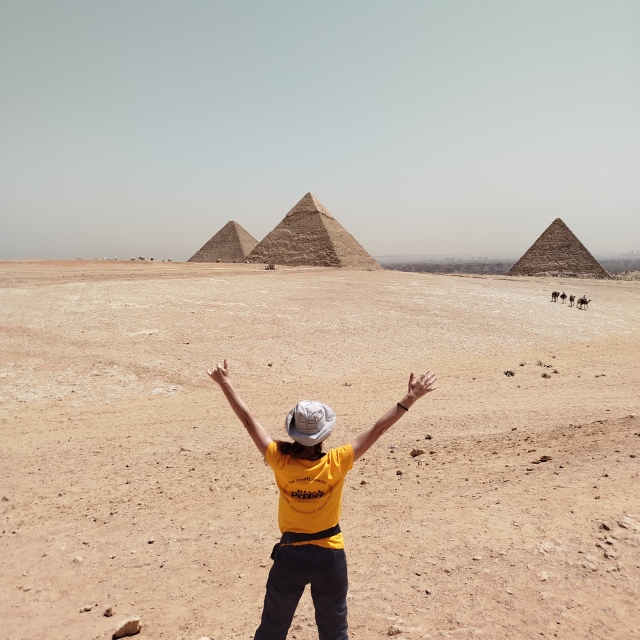 No ens oblidarem dels clàssics