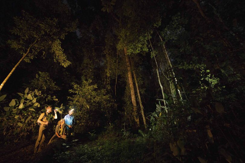 Caminata nocturna por la selva.