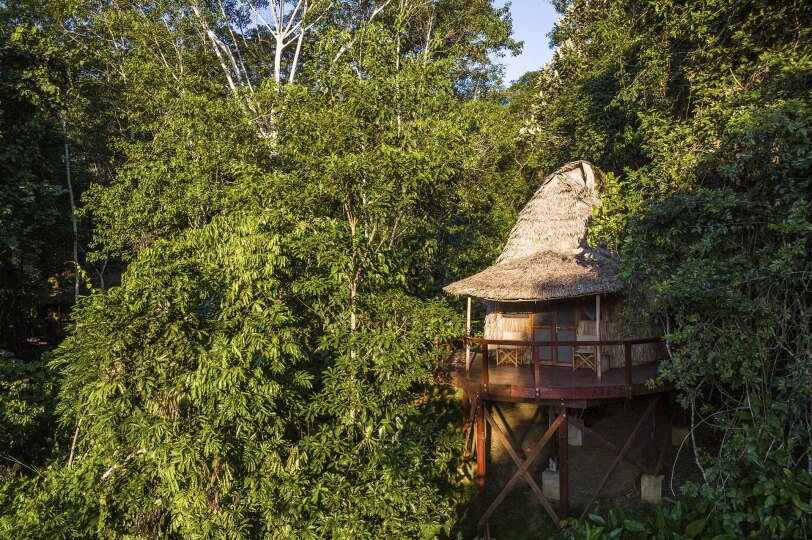 Cabaña ecológica entre los árboles.