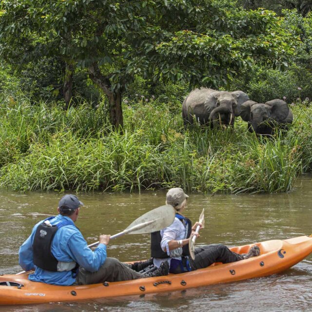 Dos viajeros en kayak observan elefantes de bosque en Odzala-Kokoua (República del Congo).