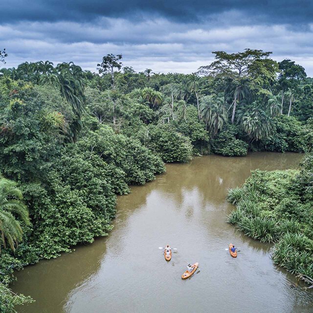 Grupo navegando en kayak por los canales del Congo rodeados de selva tropical.