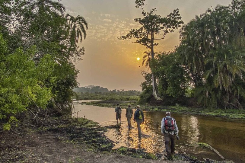 Amanecer en la selva del Congo.