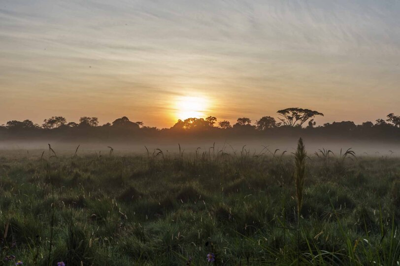Amanecer en la sabana congoleña.