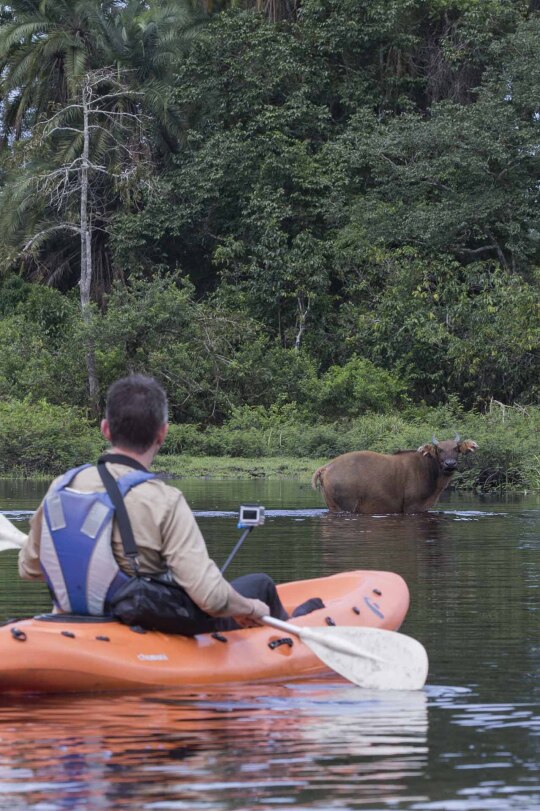 Encuentro en el río del Congo.