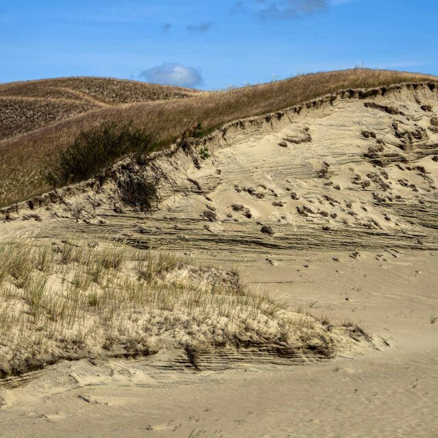Apreciar l’entorn natural de les dunes i pinedes salvatges de la costa de Lituània.